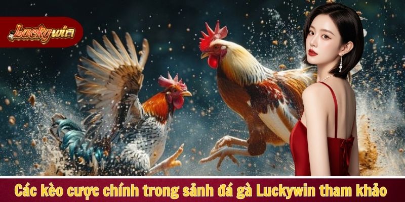 Các kèo cược chính trong sảnh đá gà Luckywin để bạn tham khảo