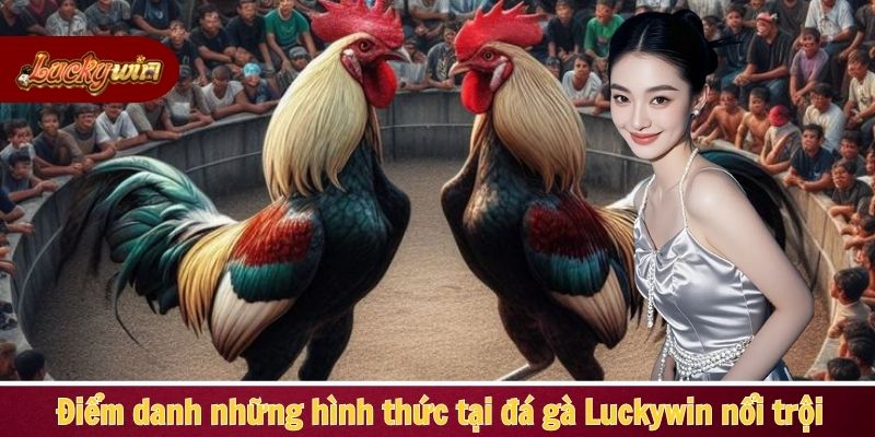 Điểm danh những hình thức tại đá gà Luckywin nổi trội